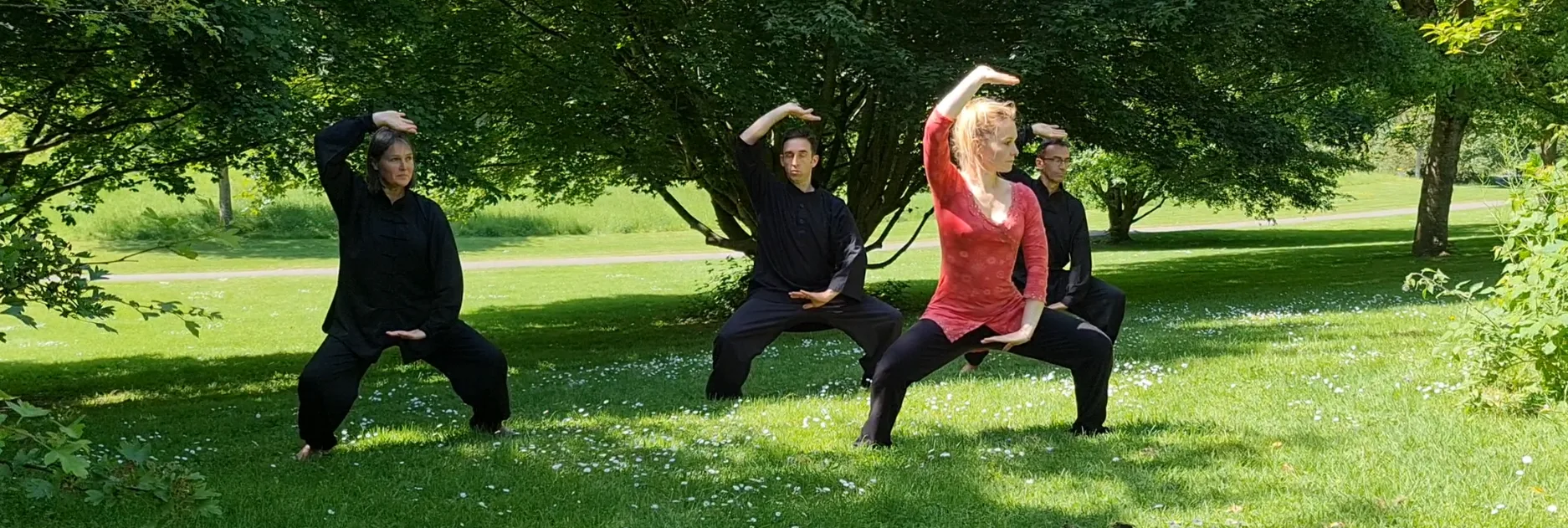 Cours de Qigong à Caen : comment débuter, à quoi s'attendre